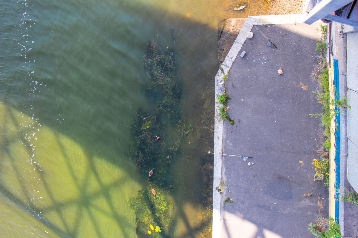 Лески путаются Лески путаются