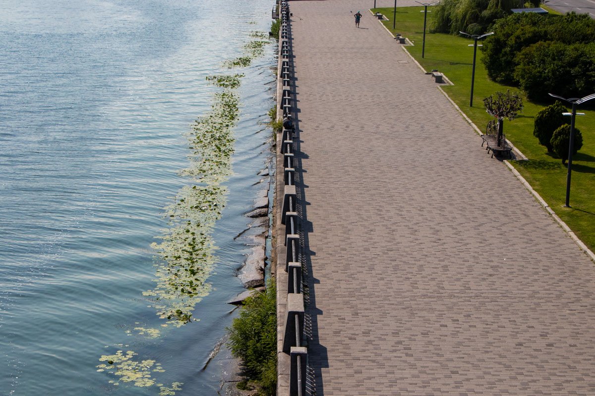Цветет и пахнет Цветет и пахнет