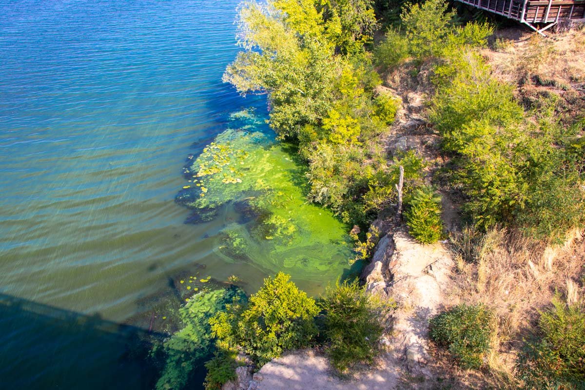 Ну за чтооо? Ну за чтооо?