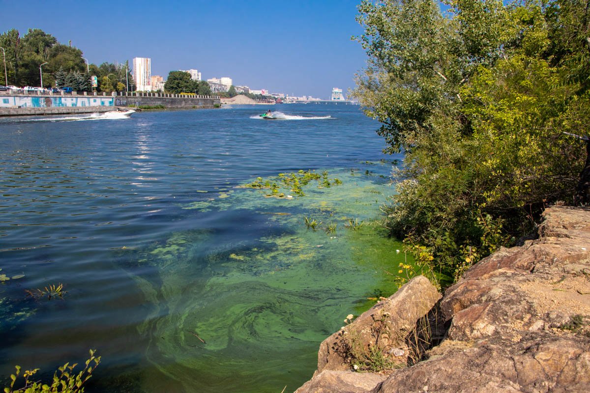 Айда в бассейне Айда в бассейне