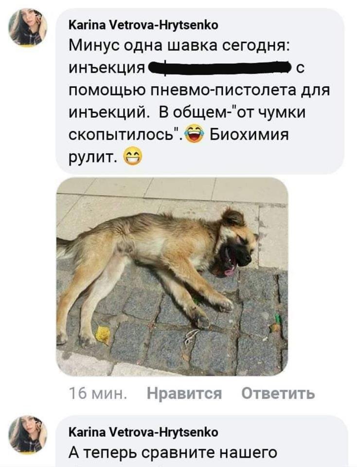 Девушка делится советами о том, как убивать Девушка делится советами о том, как убивать