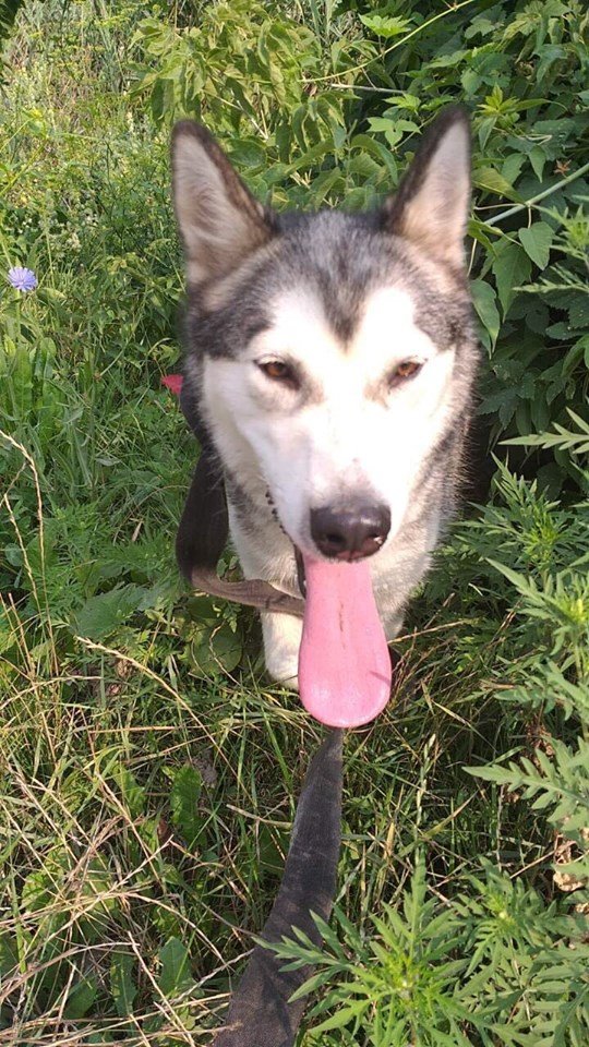 Помогите вернуть домой