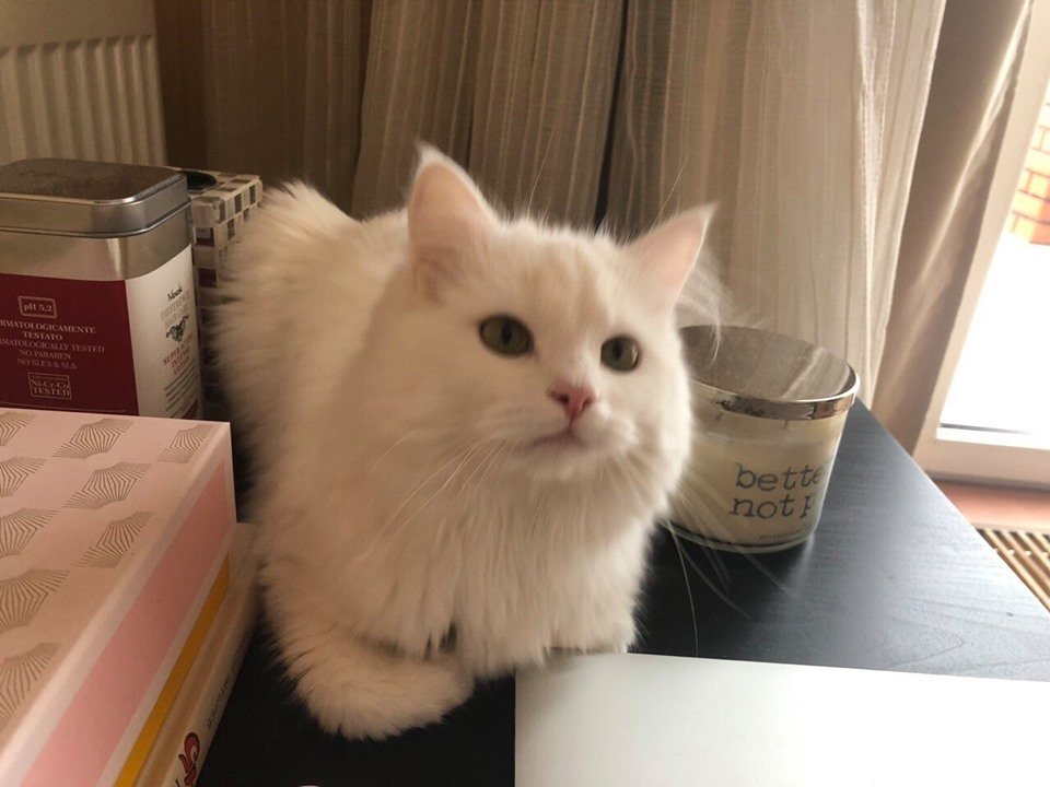 Хочет найтись