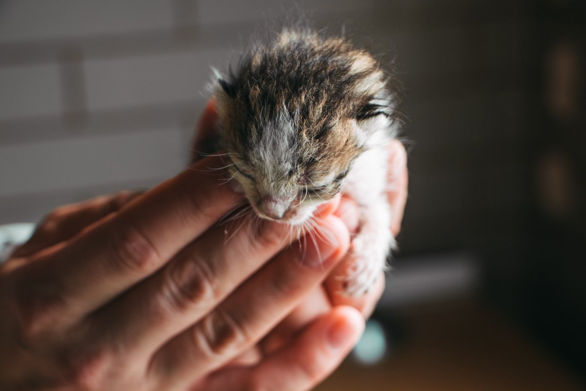 Я еще не открыл глаза. Но уже люблю тебя