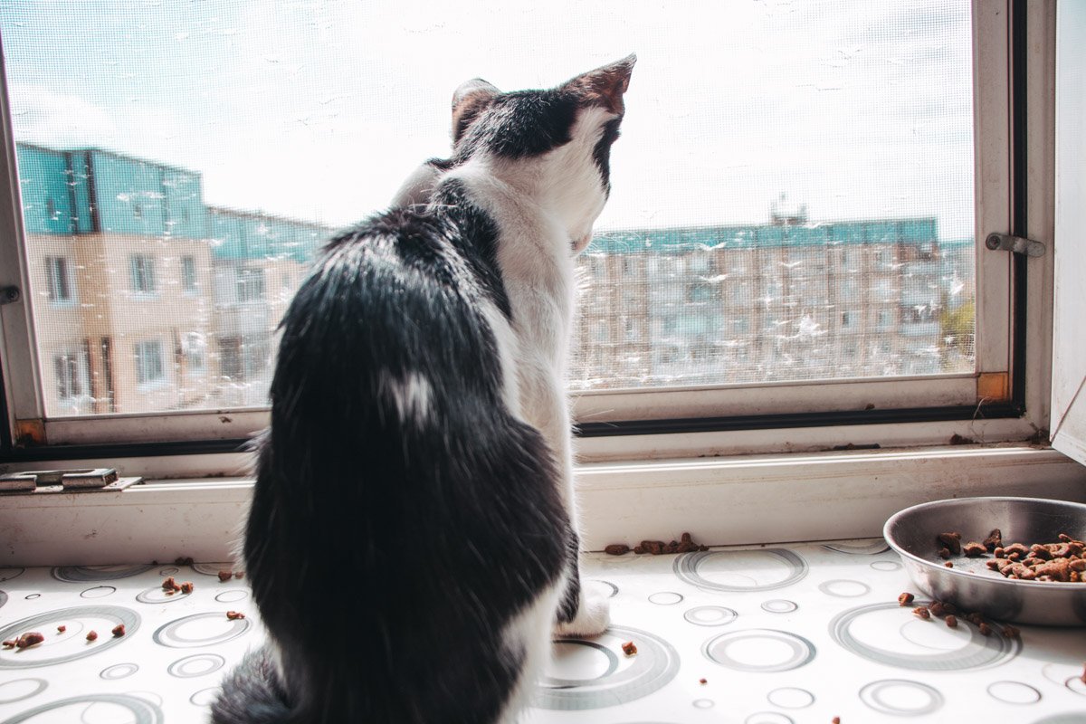 Когда ты уходишь, я остаюсь ждать