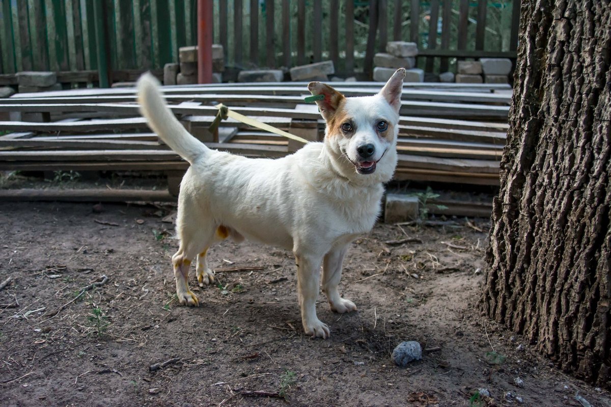 Бесконечный заряд бодрости каждое утро вам будет обеспечен Бесконечный заряд бодрости каждое утро вам будет обеспечен