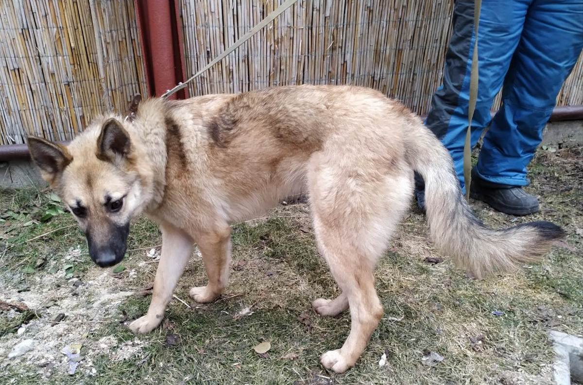 Одно сплошное НЯ :3 Одно сплошное НЯ :3