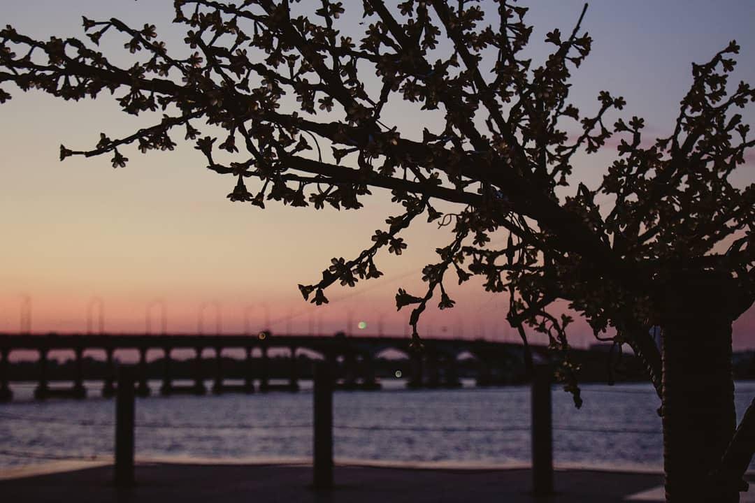 Спокойствие. Фото: endryu.creator Спокойствие. Фото: endryu.creator