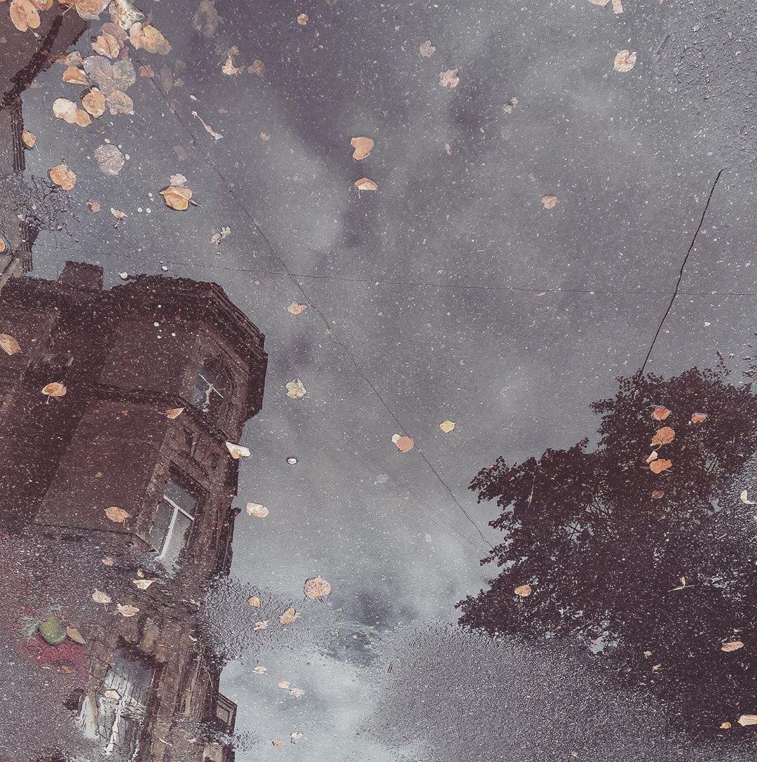 И он, отражаясь в лужах, сомнениями не перегружен. Фото: garackevich.irina И он, отражаясь в лужах, сомнениями не перегружен. Фото: garackevich.irina