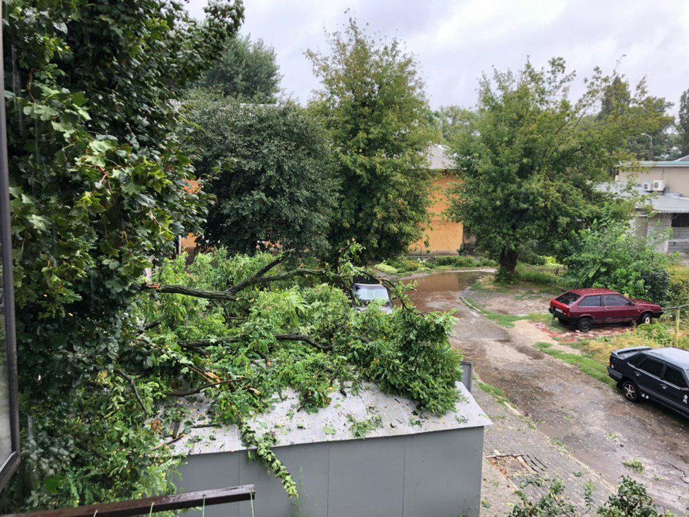 Предварительно известно, что дерево оборвало провода