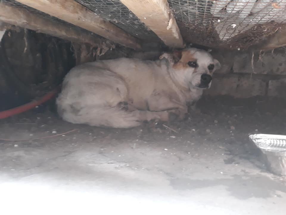 Малыш был напуган