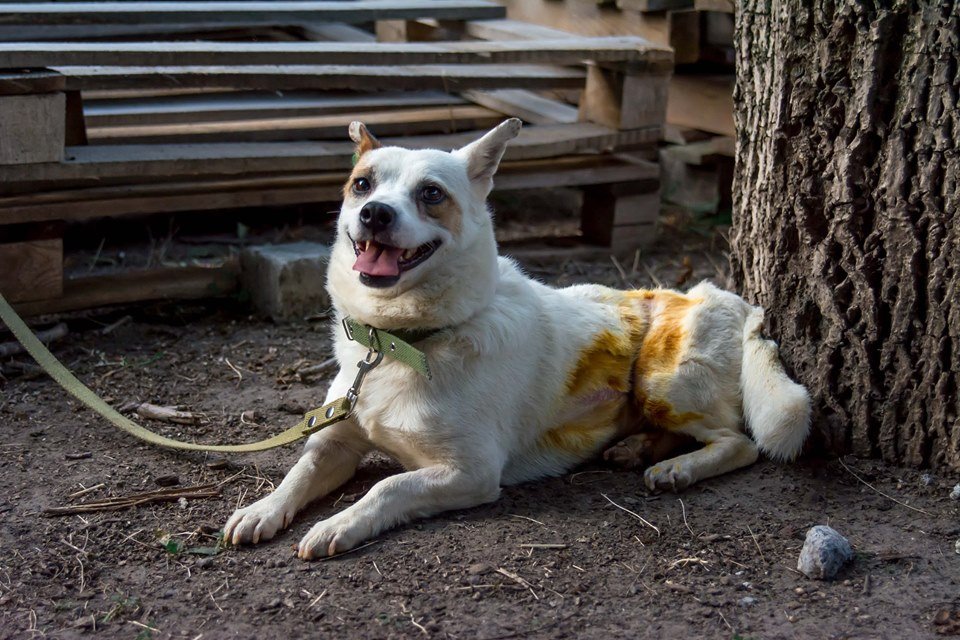 Теперь он счастлив
