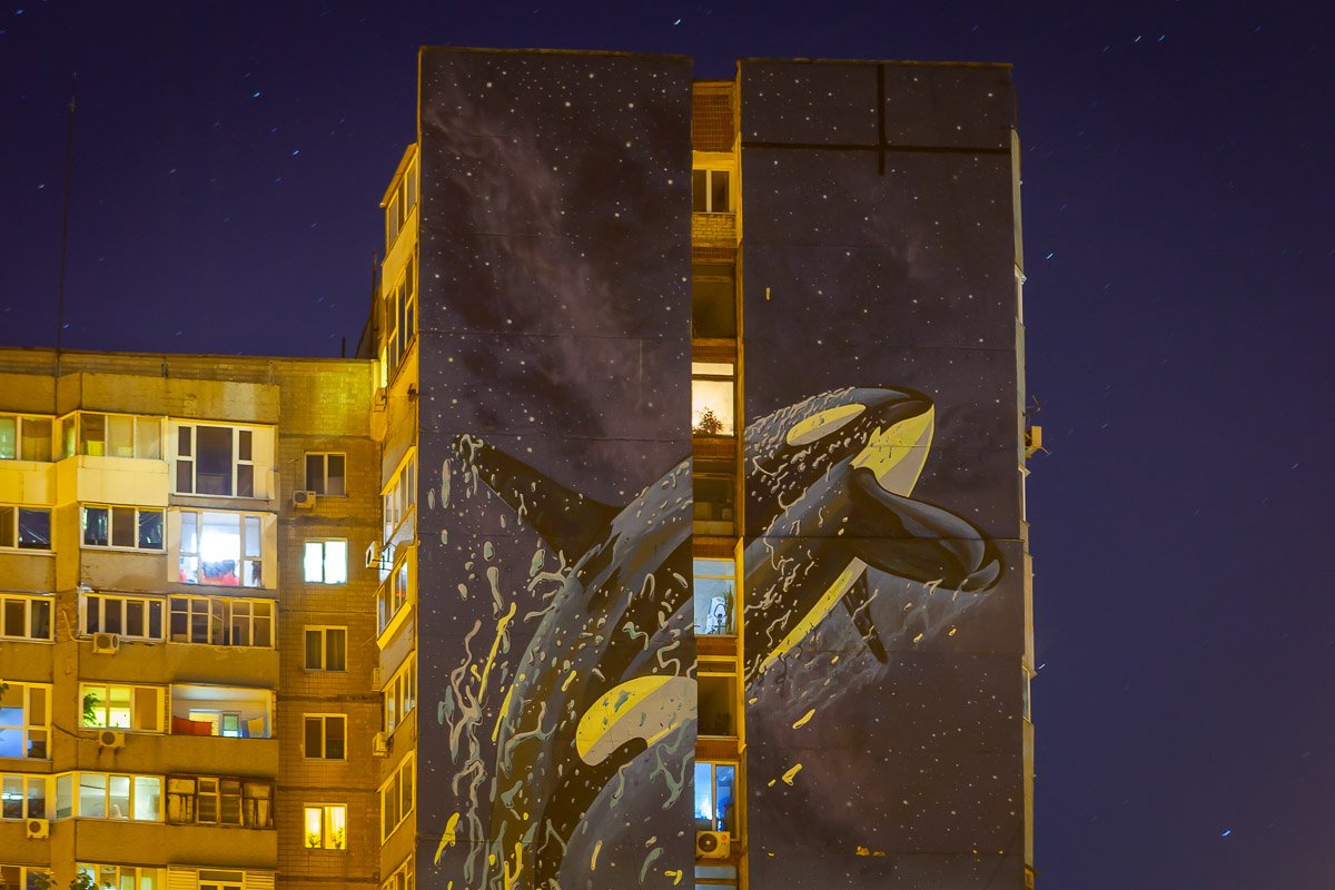 Где найти такой же фикус?