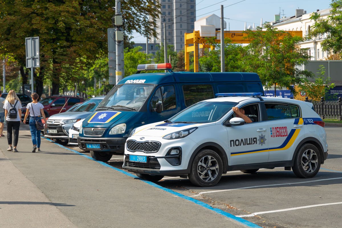 На данный момент горсовет осматривают кинологи На данный момент горсовет осматривают кинологи