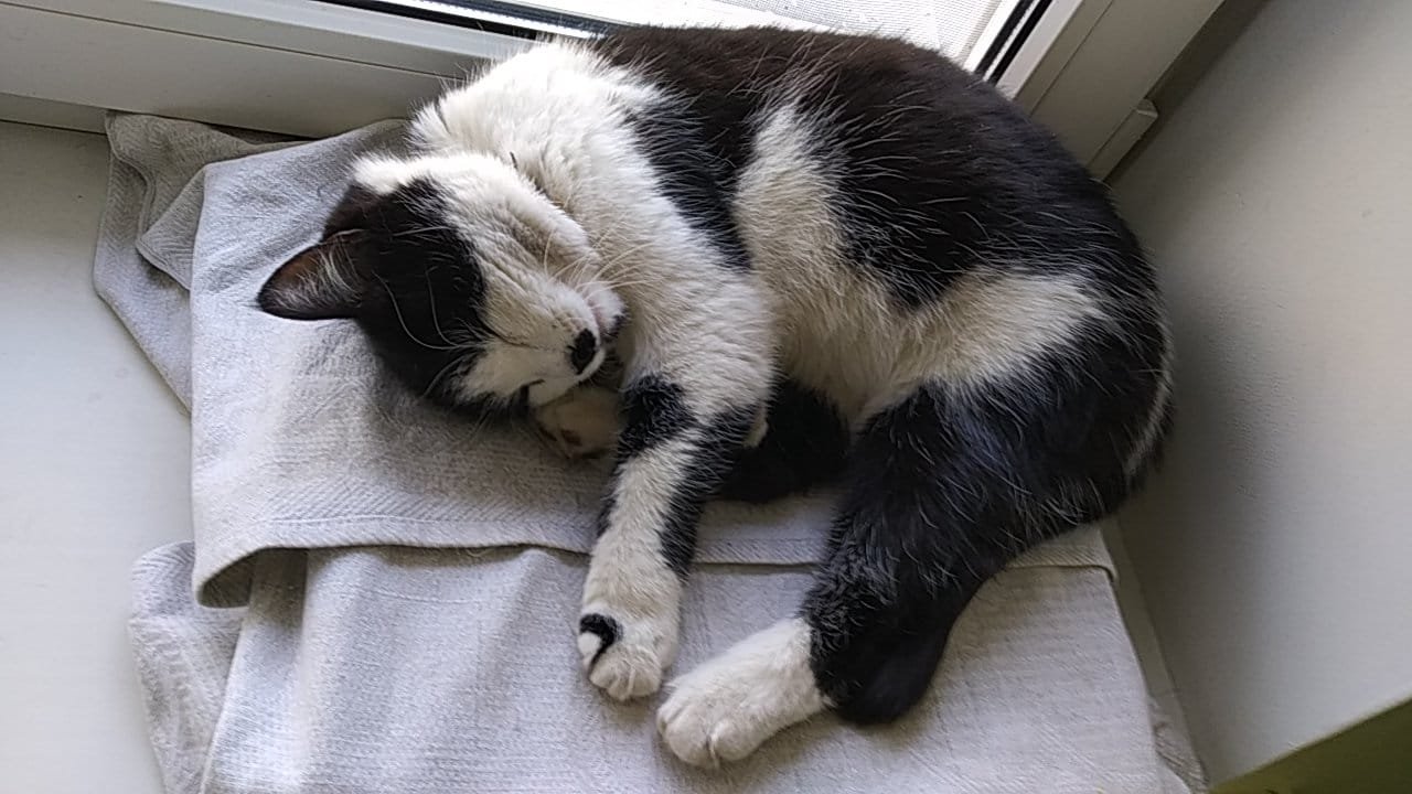 Маруся предсказывает роды Маруся предсказывает роды