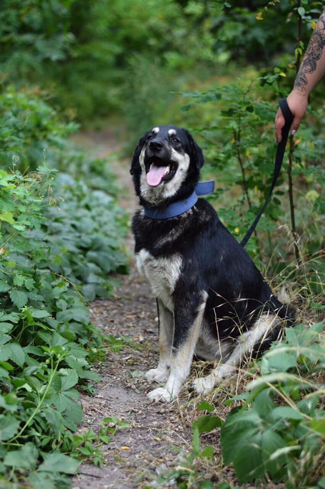 Малышка ищет дом 