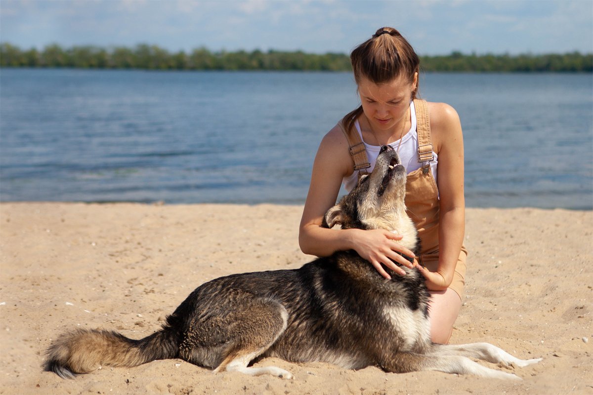 Любовь Любовь