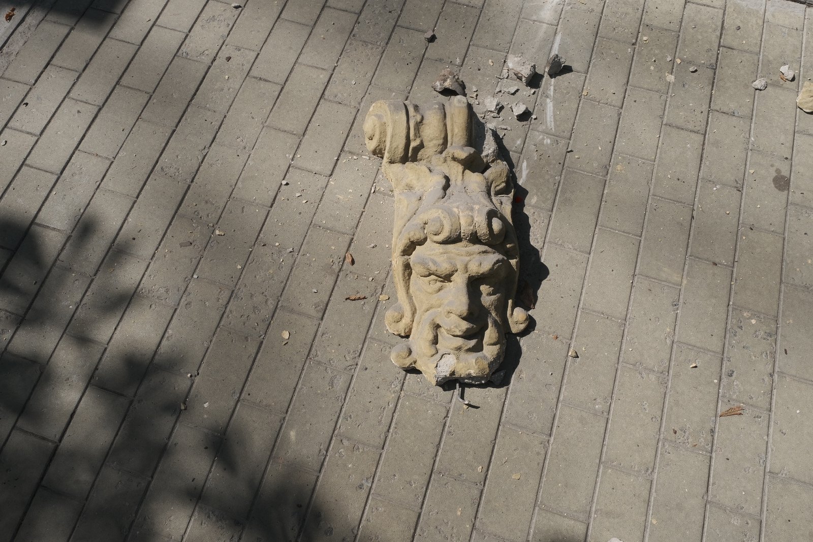 Временно он поживет у нас Временно он поживет у нас