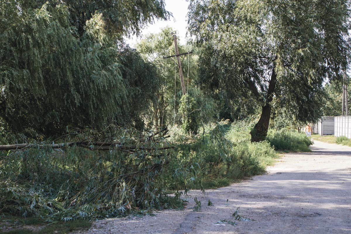 Ветка рухнула на провода