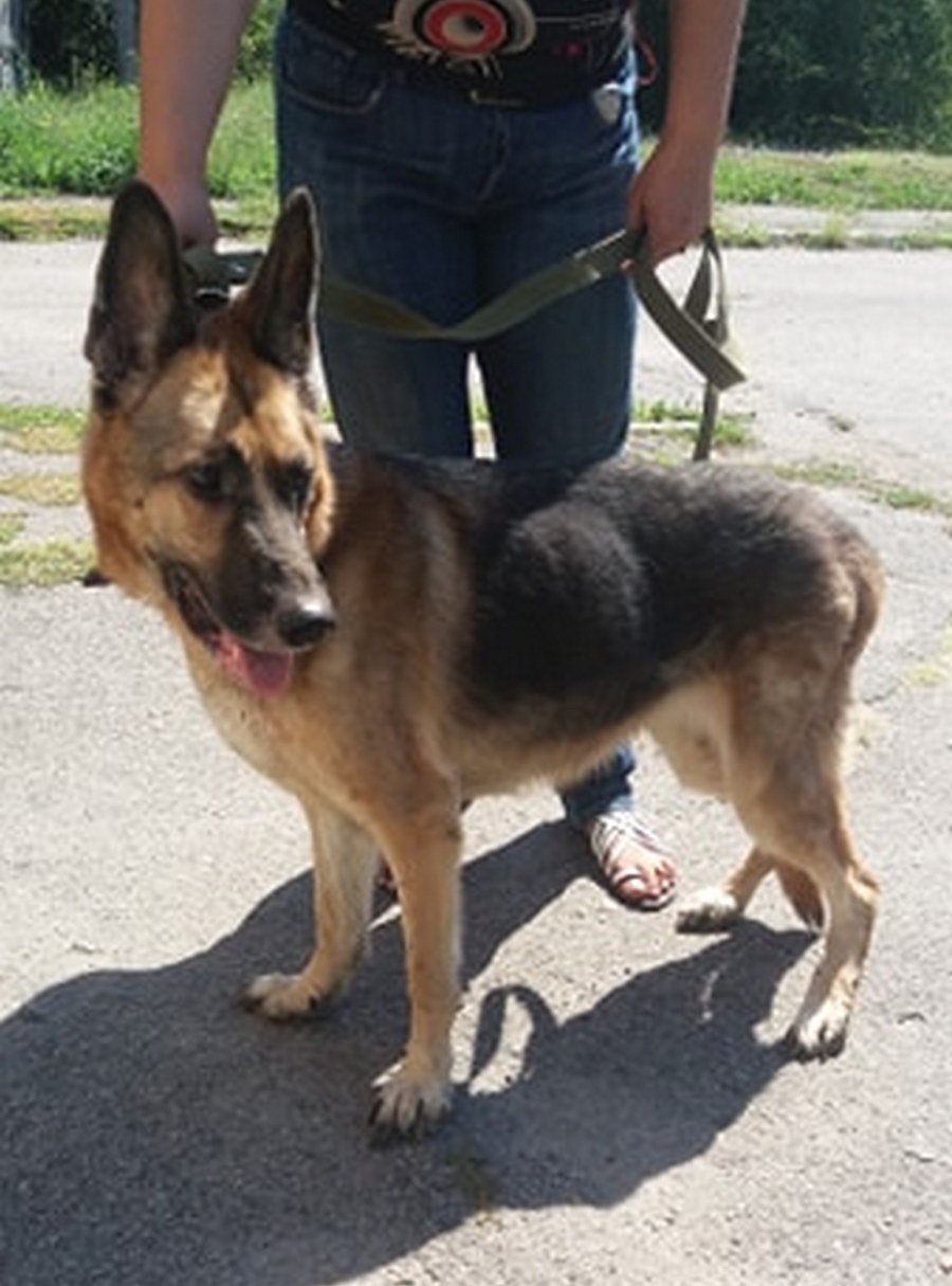 Малышку бросили привязанной на дороге Малышку бросили привязанной на дороге