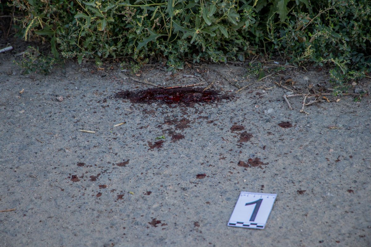 Учитывая, что состояние супругов было критическим, патрульные решили сопроводить автомобиль скорой Учитывая, что состояние супругов было критическим, патрульные решили сопроводить автомобиль скорой