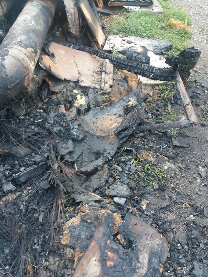 Котят сожгли вместе с мусором