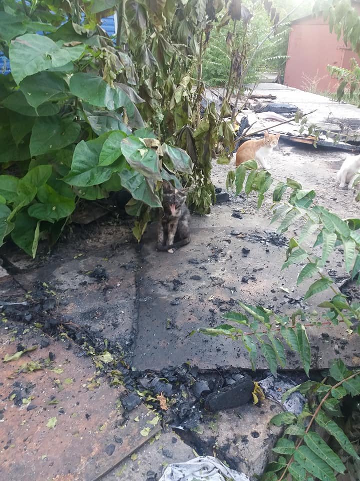 Некоторым повезло спастись