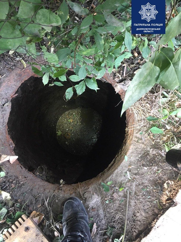 В Днепре спасатели и патрульные достали собаку, которая чуть не утонула в колодце 1