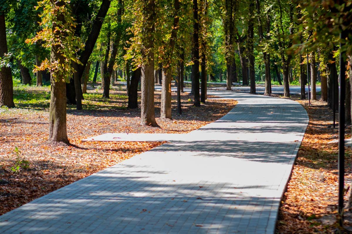 Первый результат уже заметен Первый результат уже заметен