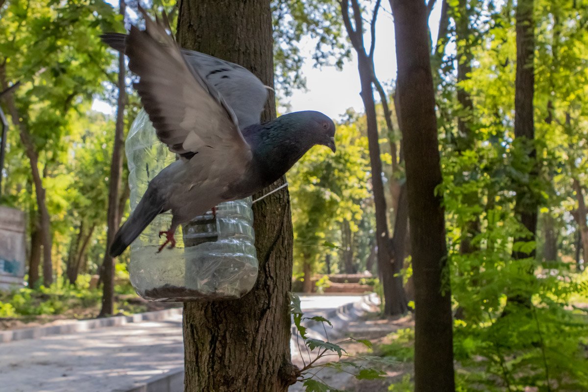 Но что-то пошло не так Но что-то пошло не так