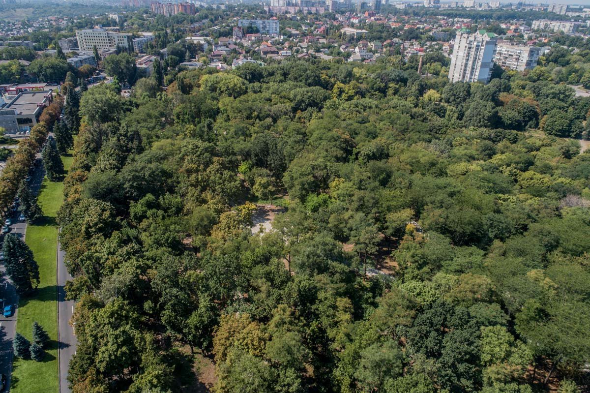 Зеленые легкие города Зеленые легкие города