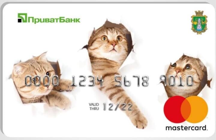 Школьники Волосского могут самостоятельно выбрать дизайн для своих карт ПриватБанка 5