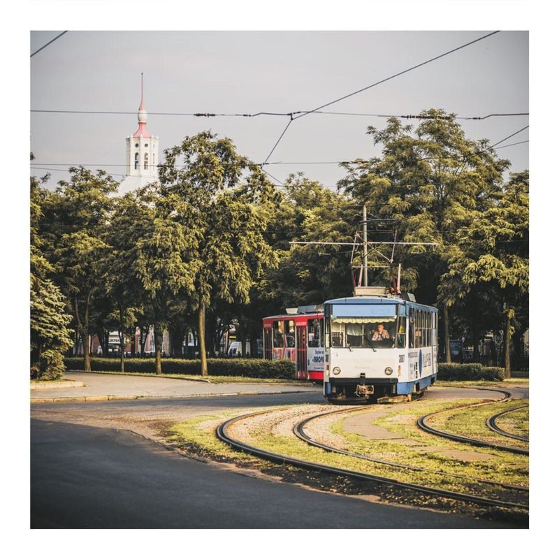 Фото: @artemlazarev_ph