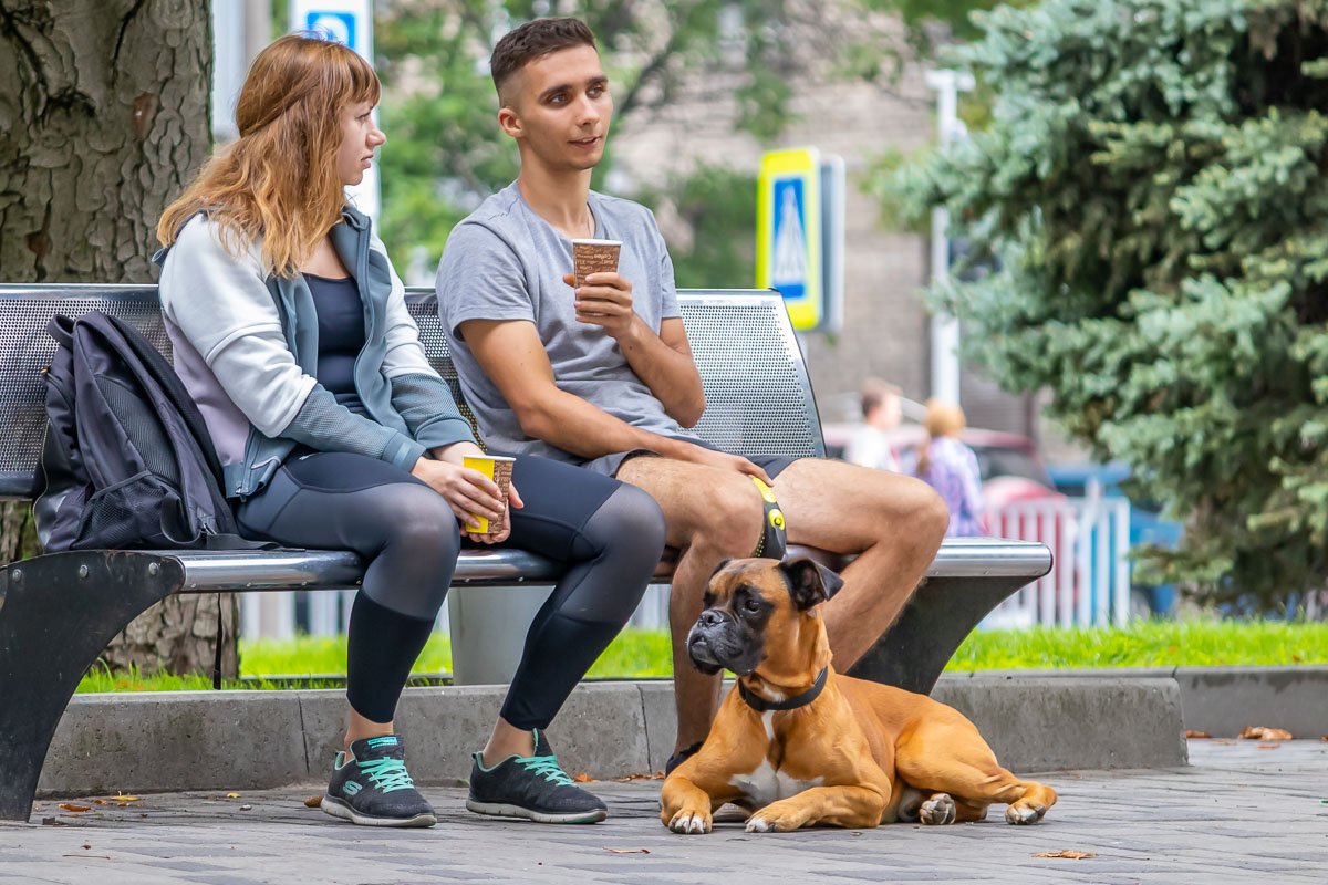 Какой песель *.* Какой песель *.*