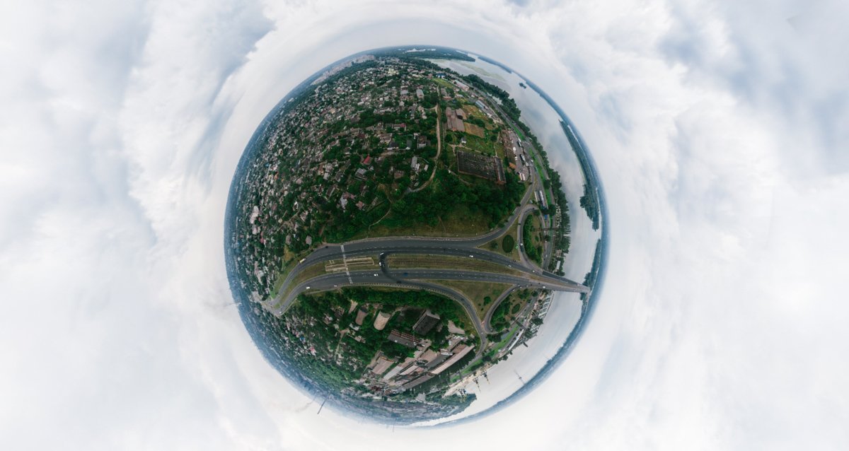 Змея высунула язык Змея высунула язык