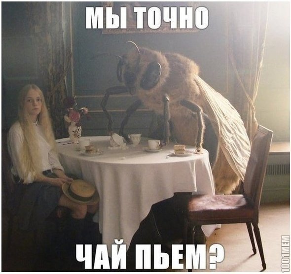 Окей, Информатор: развенчиваем мифы о наркотической зависимости 1