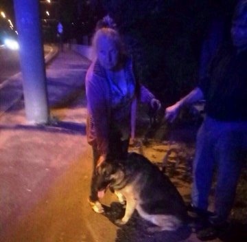 В Днепре мужчина с собакой провалились в люк