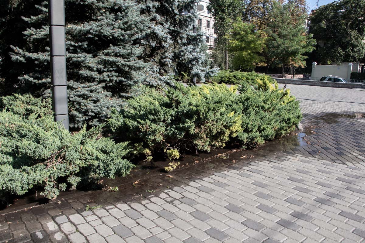 Залило парк