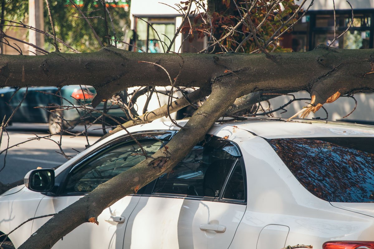 Повреждены крыша и лобовое стекло
