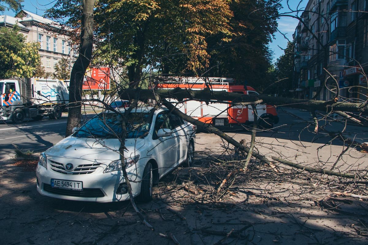 Владелец будет писать заявление