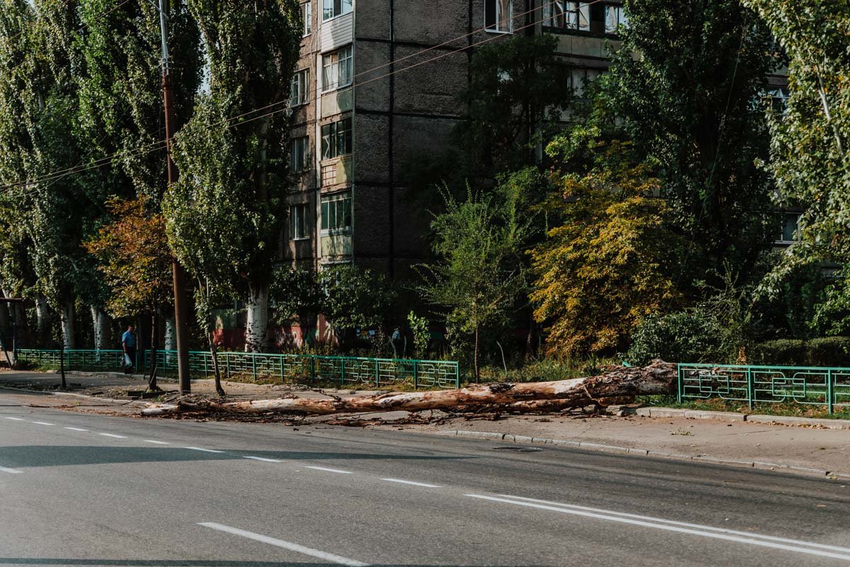 На Мануйловском упало дерево На Мануйловском упало дерево