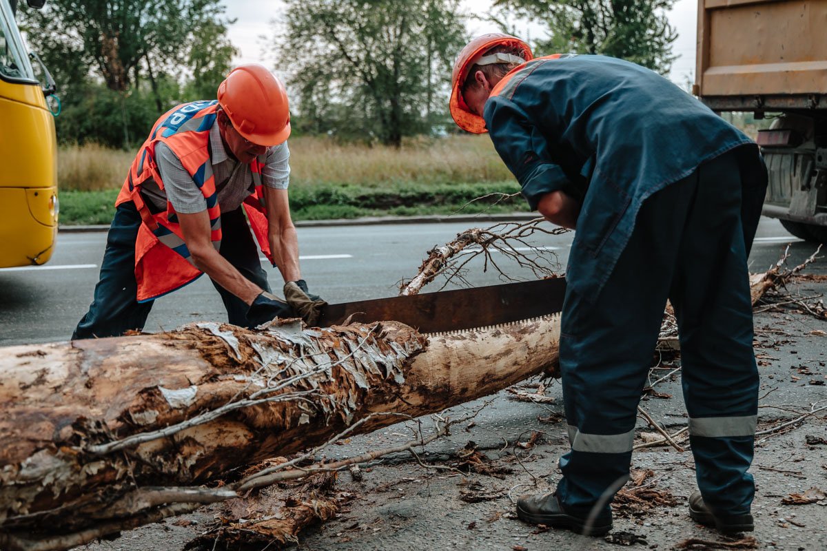 Работа кипит Работа кипит