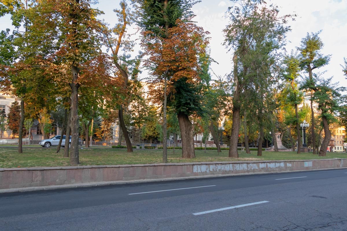 Дороги отдыхают от людей и машин Дороги отдыхают от людей и машин