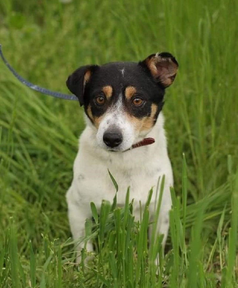 Малыш ищет семью Малыш ищет семью