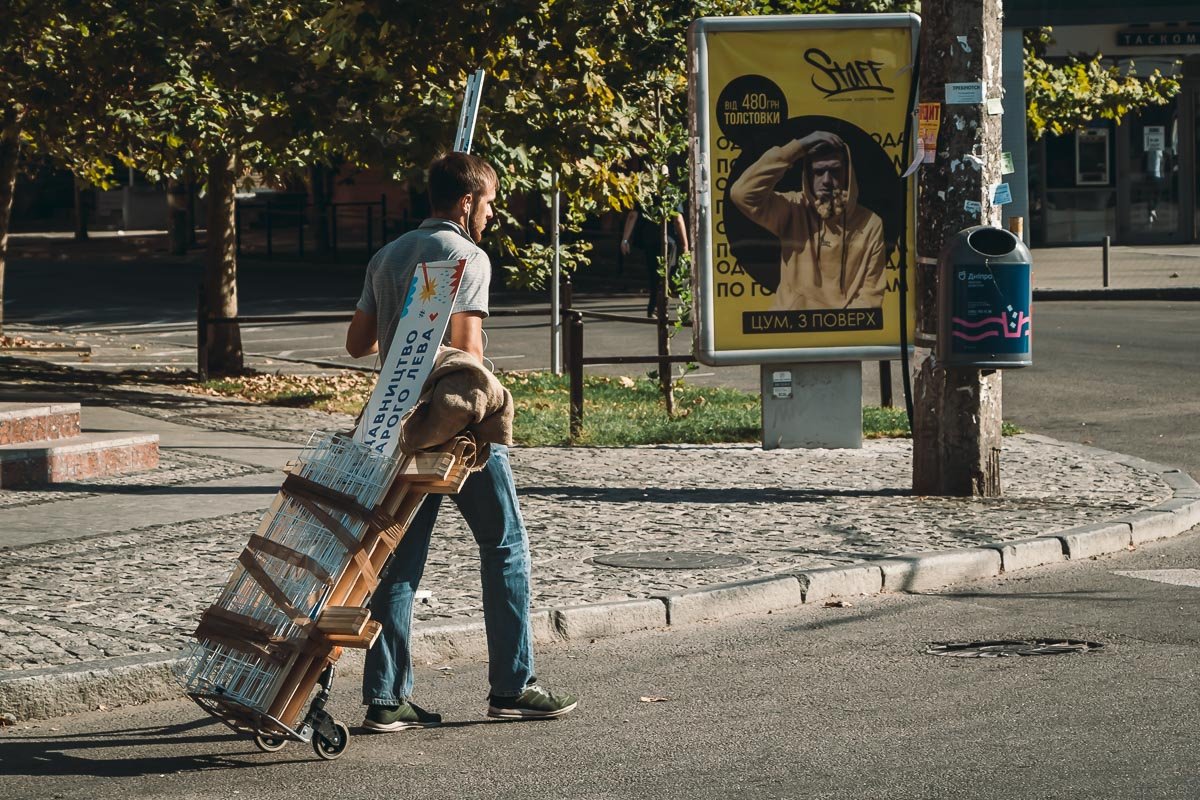 Деньги сами себя не заработают