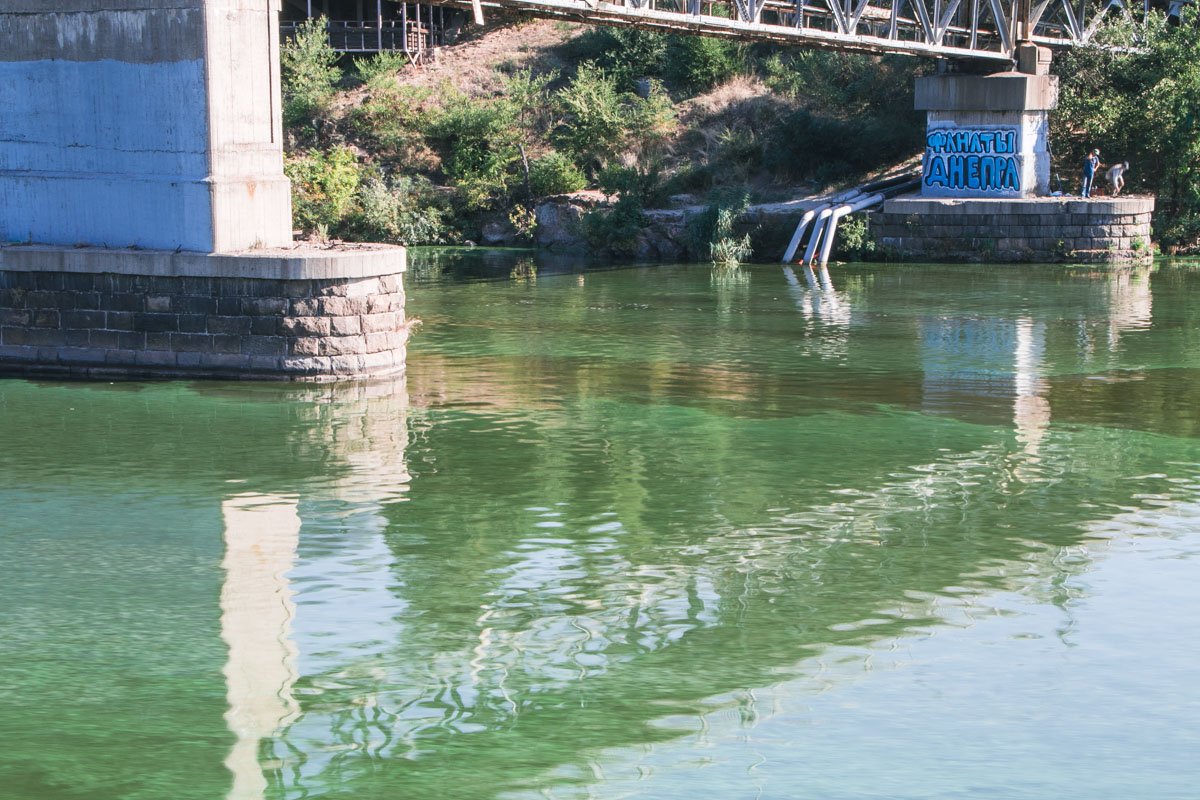 Зеленое отражение Зеленое отражение