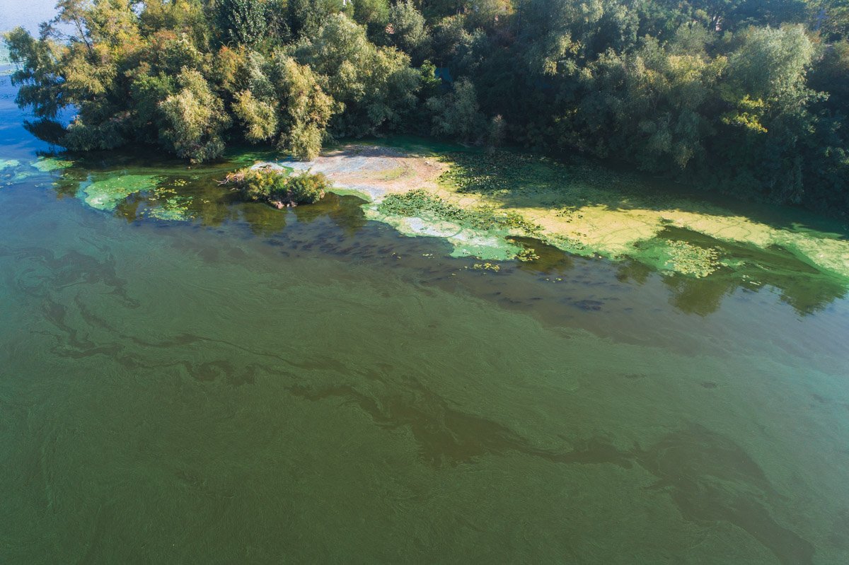 Smells like Dnipro Smells like Dnipro