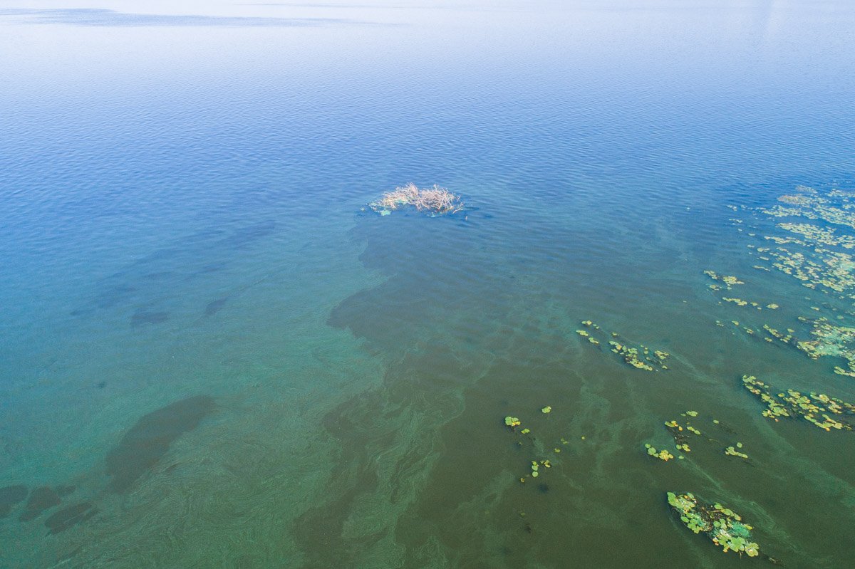 Реве та стогне Реве та стогне