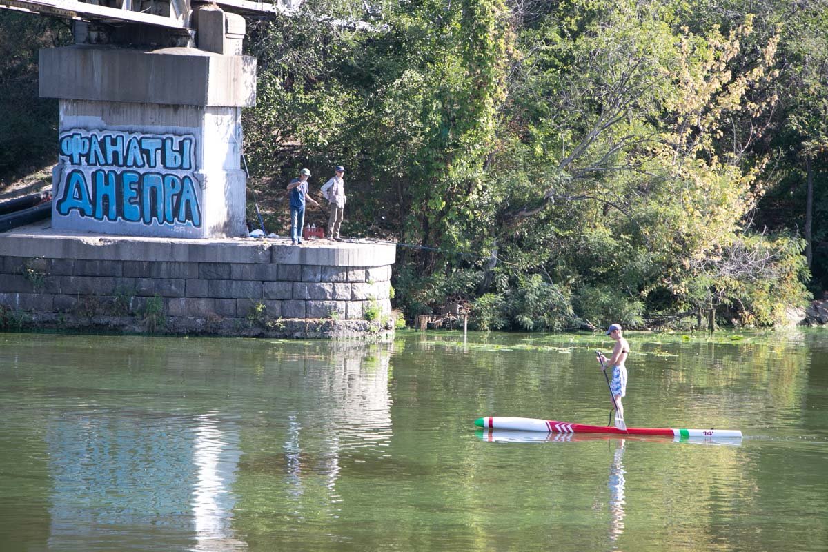 Помогайте людям на воде обойти водоросли Помогайте людям на воде обойти водоросли