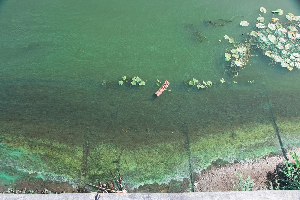 33 оттенка зеленого 33 оттенка зеленого